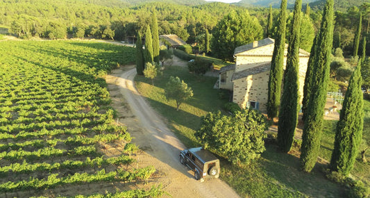 Domaine Mirabeau vineyards