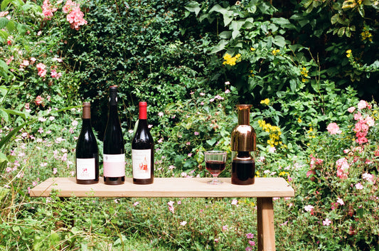 Guide to Pinot Noir: Loved globally, produced... globally