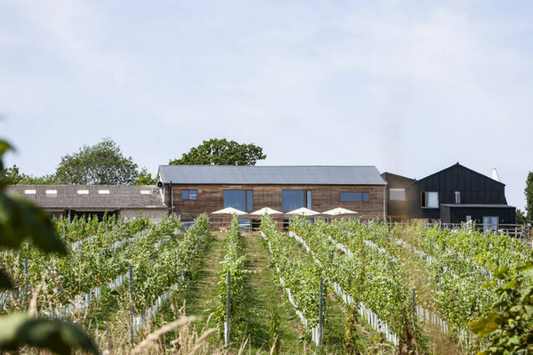How English winemakers are embracing their freedom