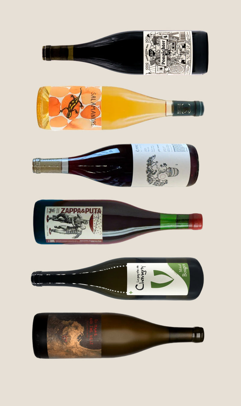 Collection of wine bottles with various labels on a beige background