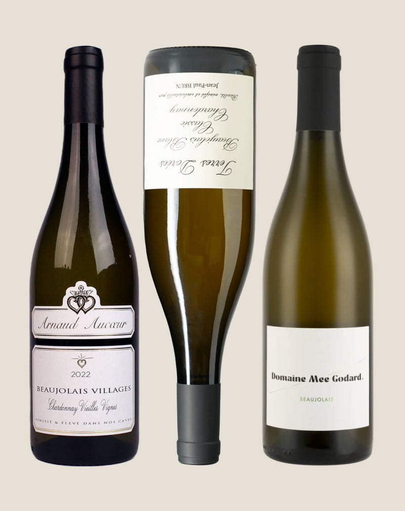 Three wine bottles with labels on a beige background