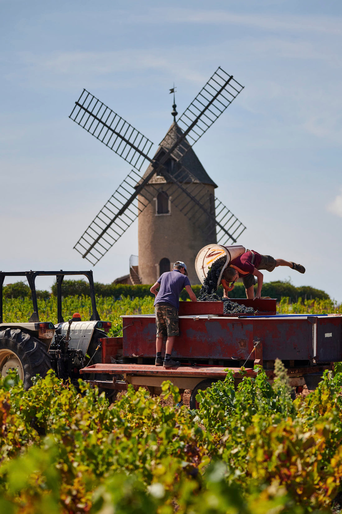 Tasting Notes: November